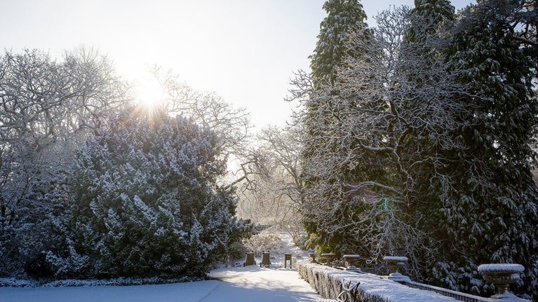Snow covering the edge of the front lawn at Lyme, Cheshire, with a burst of sunlight peeking over the trees.